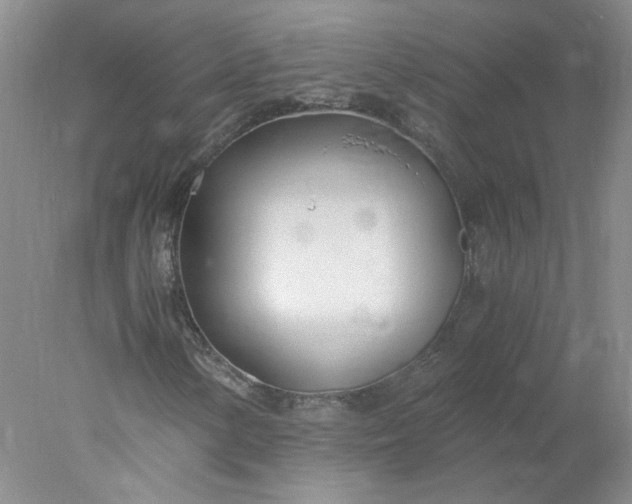 X0000078261154200611171957