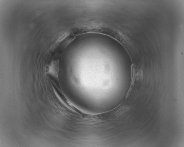 X0000078261156200611171957