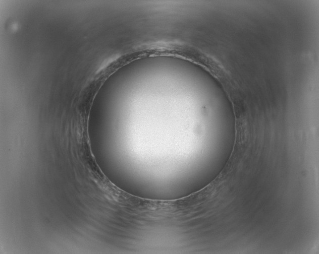 X0000078261158200611171957