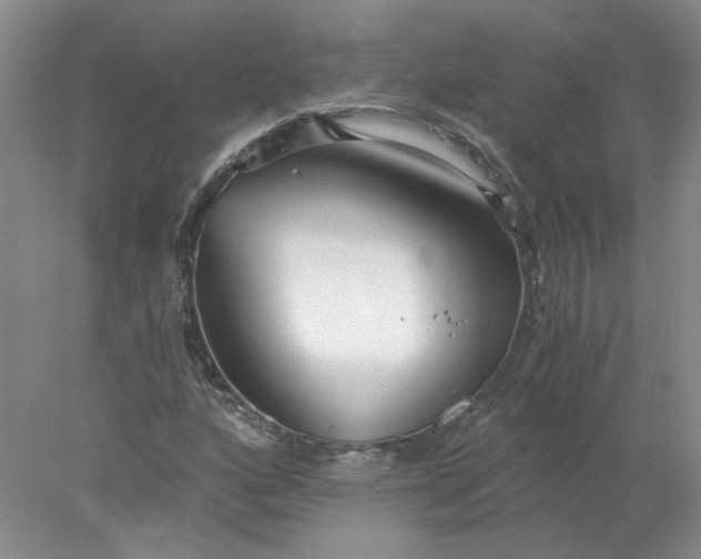 X0000078261160200611171957