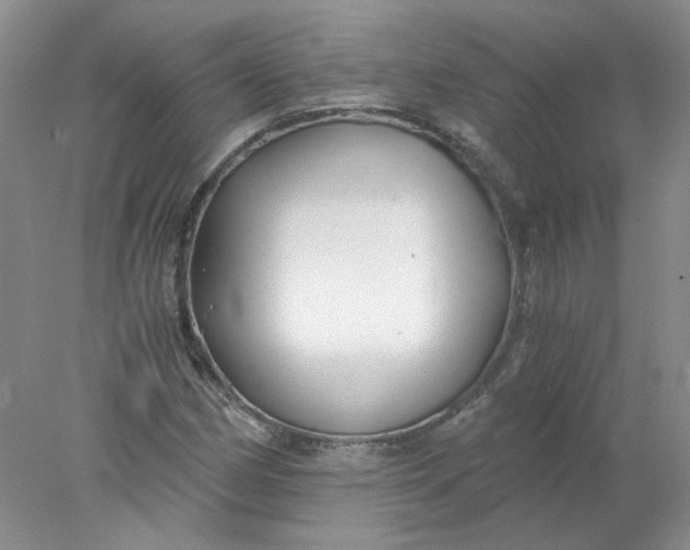 X0000078261162200611171957