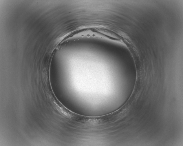 X0000078261177200611171957