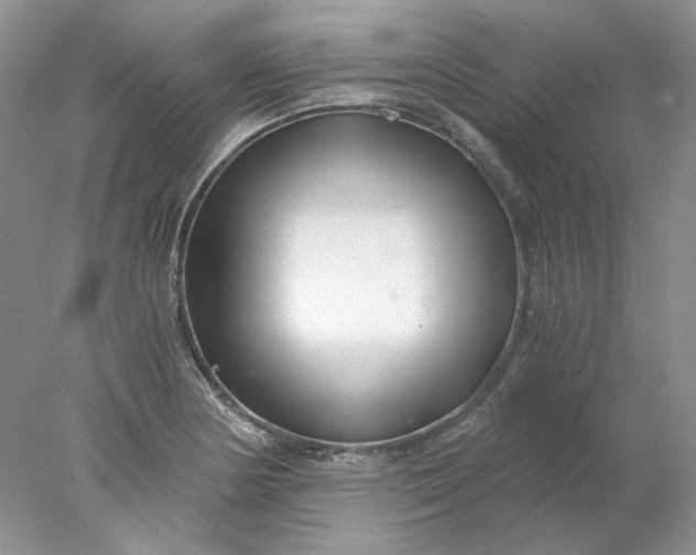 X0000078261178200611171957