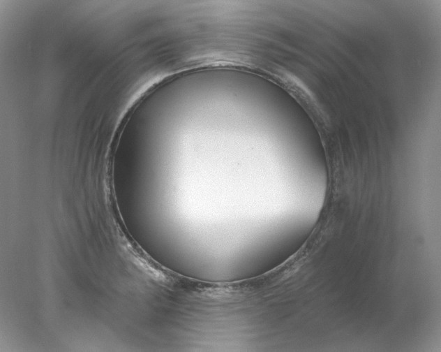 X0000078261182200611171957
