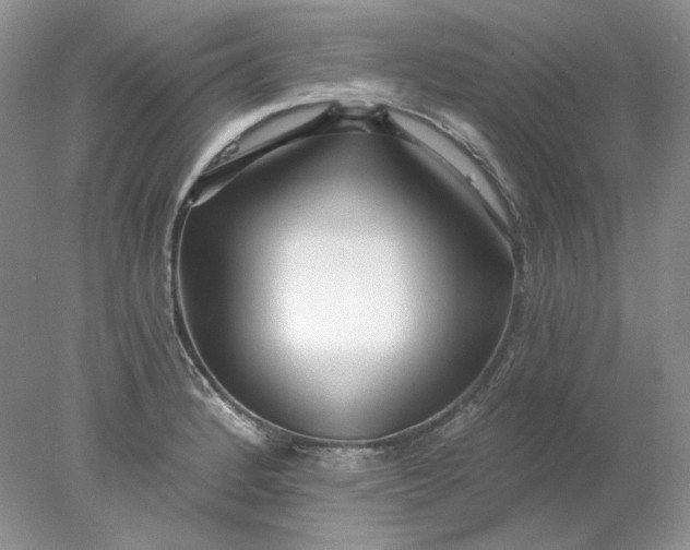X0000078261184200611171957