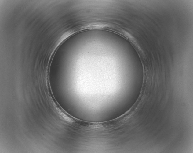 X0000078261186200611171957