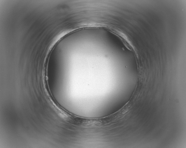 X0000078261187200611171957