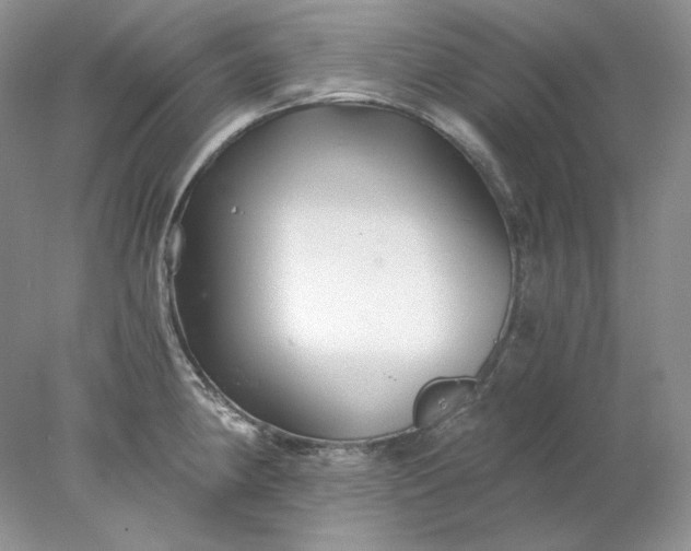 X0000078261190200611171957