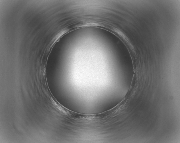 X0000078261193200611171956