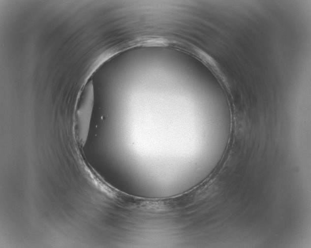 X0000078261194200611171956