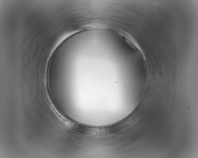 X0000078261195200611171956