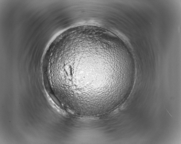 X0000078261200200611171956