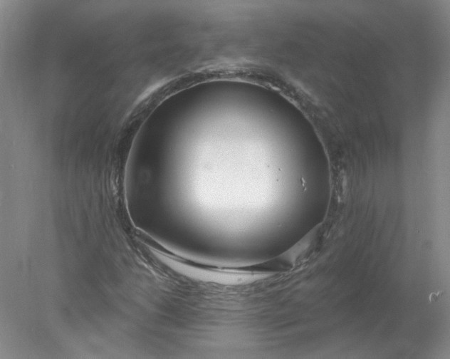 X0000078261206200611171956