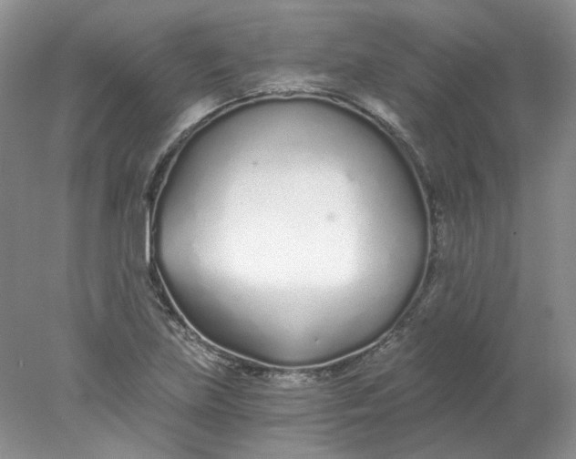 X0000078261219200611171956