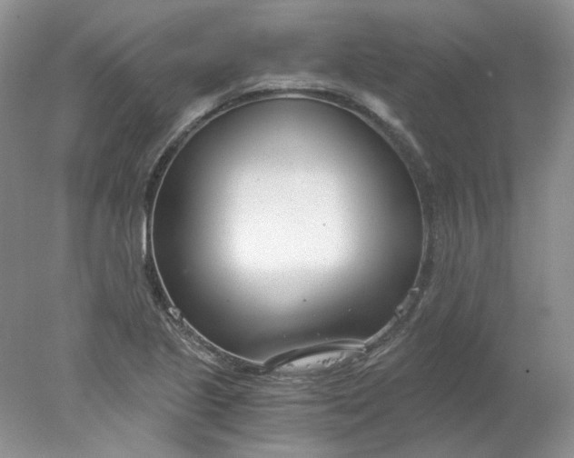 X0000078261221200611171956