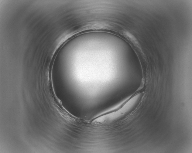 X0000078261226200611171956