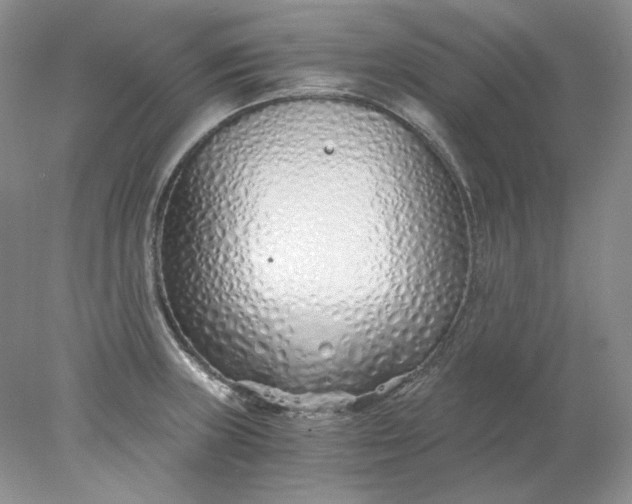 X0000078261235200611171956