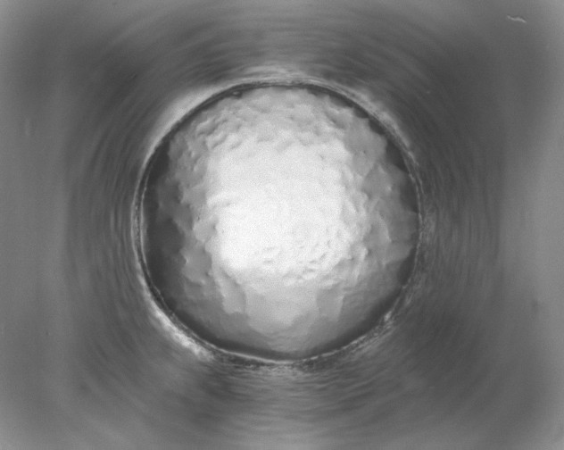 X0000078261239200611171956