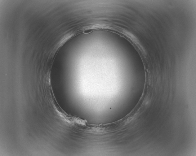 X0000078261241200611171956
