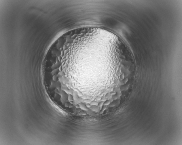 X0000078261243200611171956