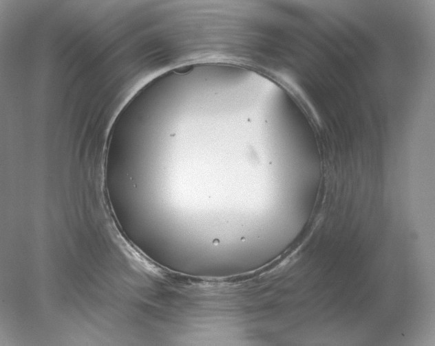 X0000078261244200611171956