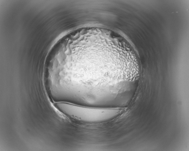 X0000078261245200611171956