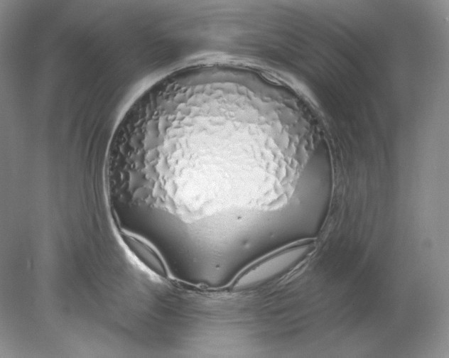 X0000078261247200611171956