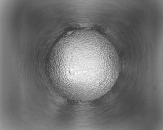 X0000078261249200611171956