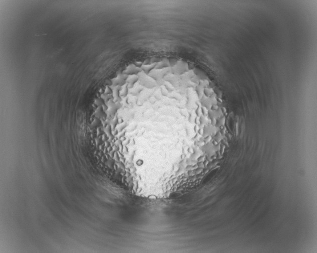 X0000078261251200611171956