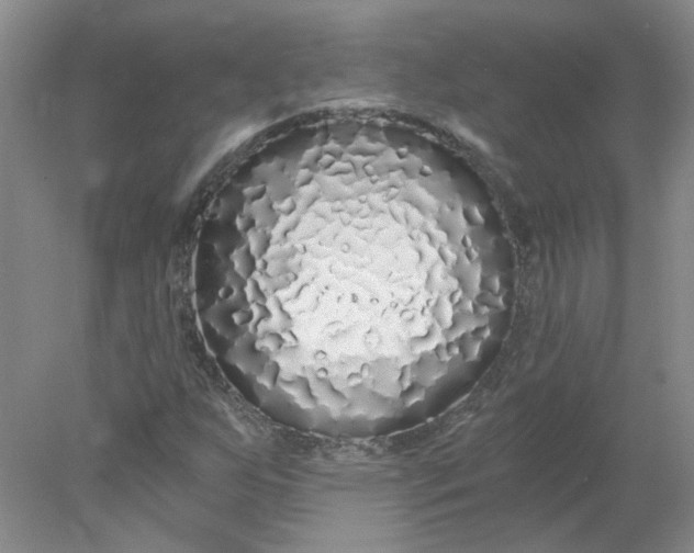 X0000078261255200611171955