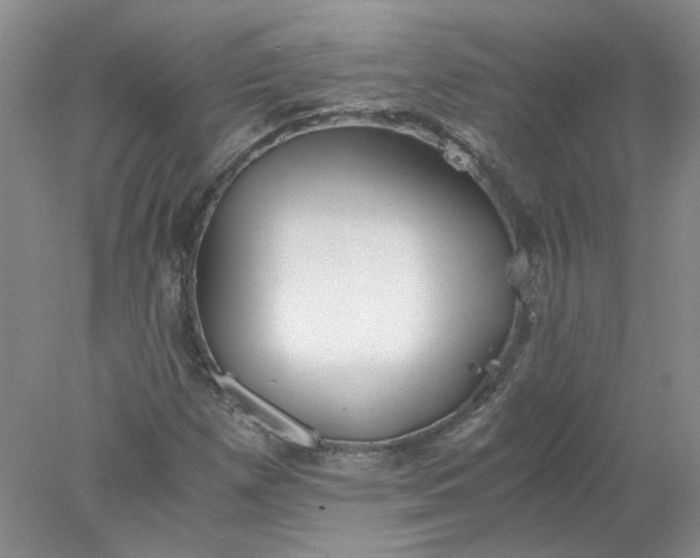 X0000078261257200611171955