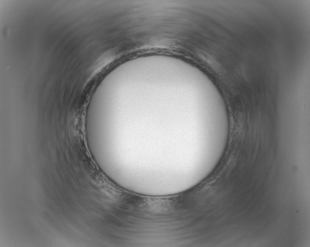X0000078261258200611171955