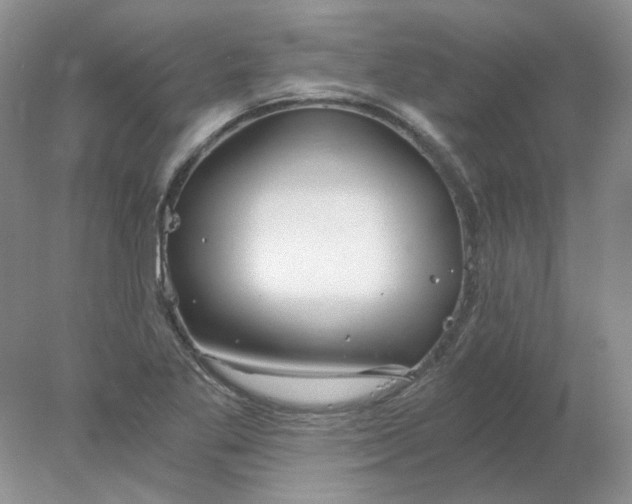 X0000078261269200611171955