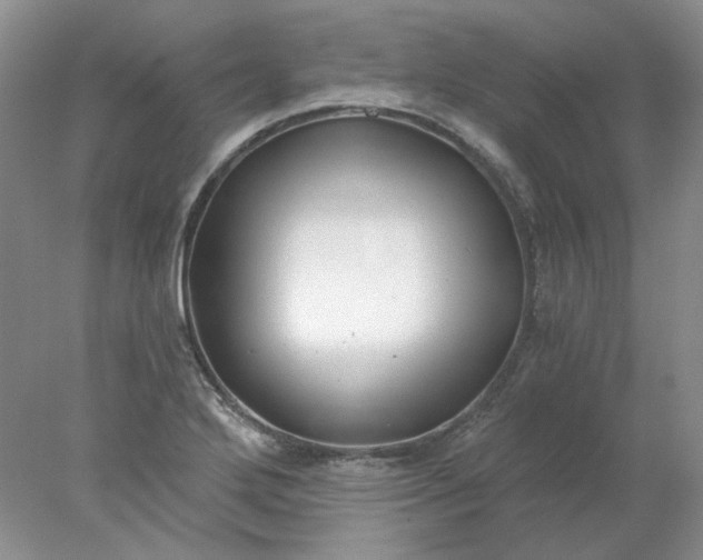 X0000078261272200611171955