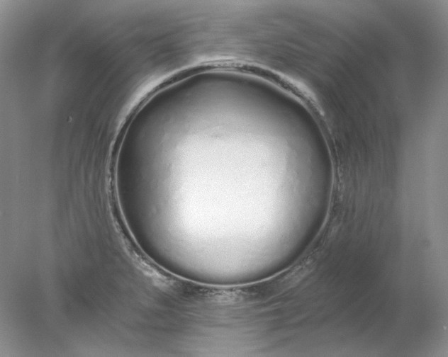 X0000078261279200611171955