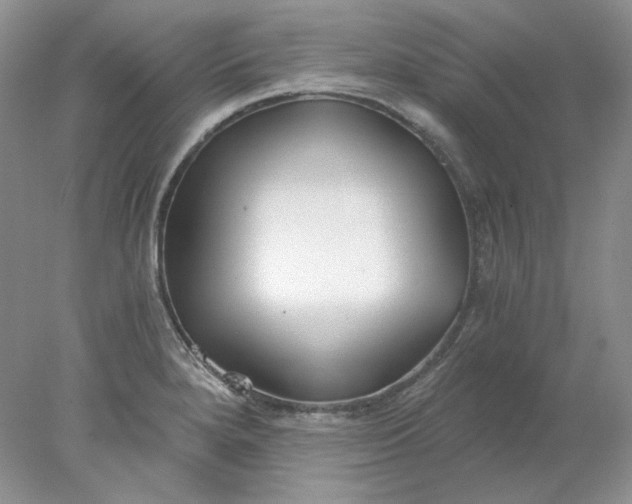 X0000078261280200611171955