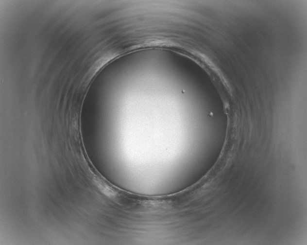 X0000078261281200611171955
