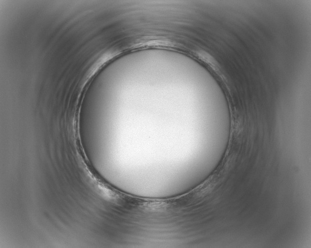 X0000078261282200611171955