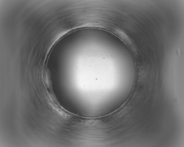 X0000078261284200611171955