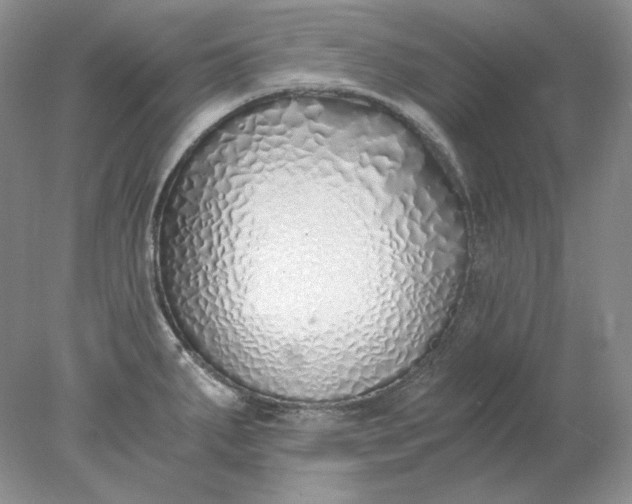 X0000078261287200611171955