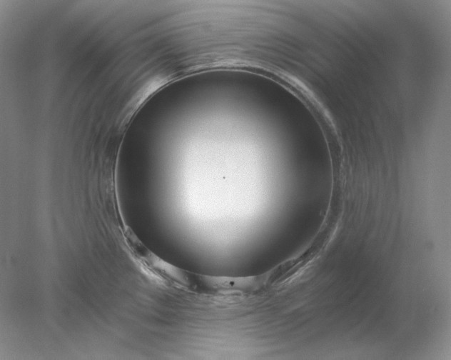 X0000078261289200611171955