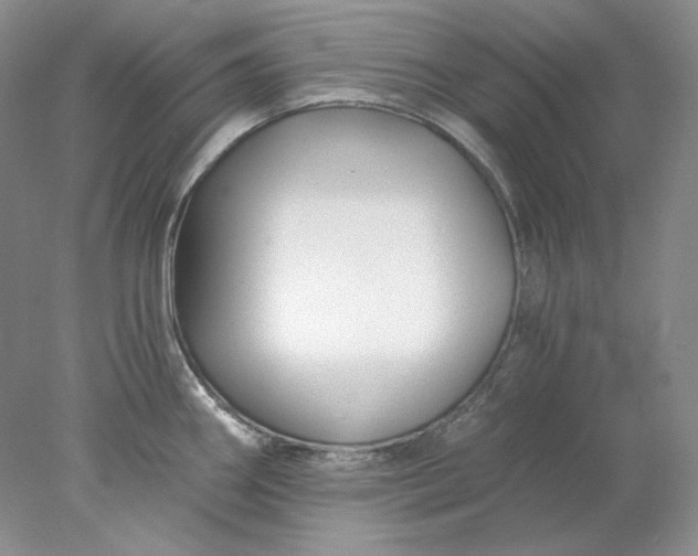 X0000078261290200611171955