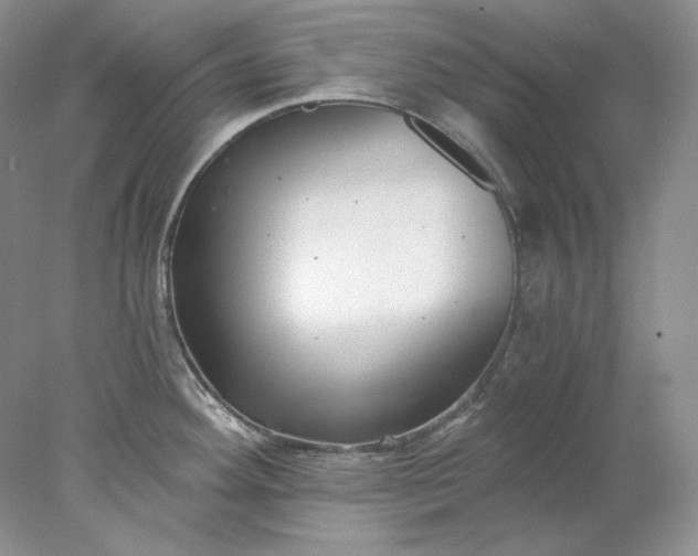 X0000078261292200611171955