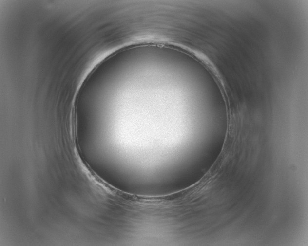 X0000078261295200611171955