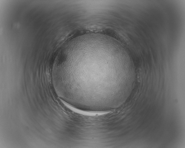 X0000078261298200611171954