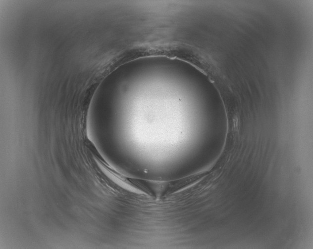X0000078261300200611171954