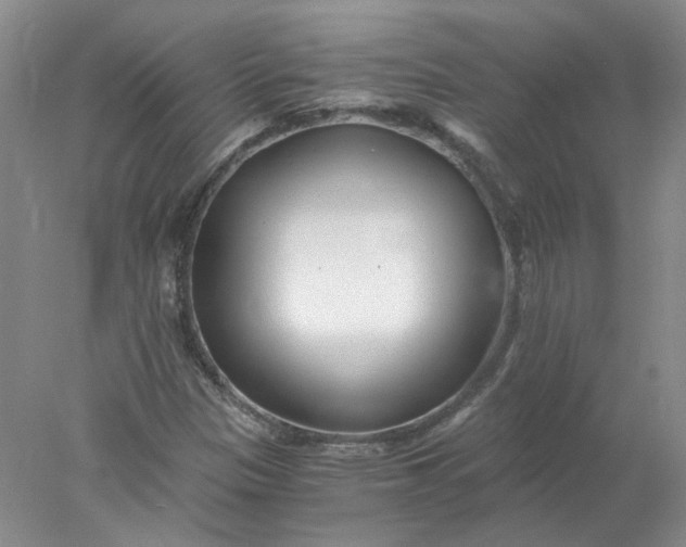 X0000078261305200611171954