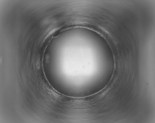 X0000078261306200611171954