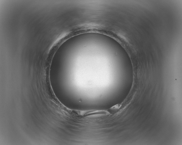 X0000078261309200611171954