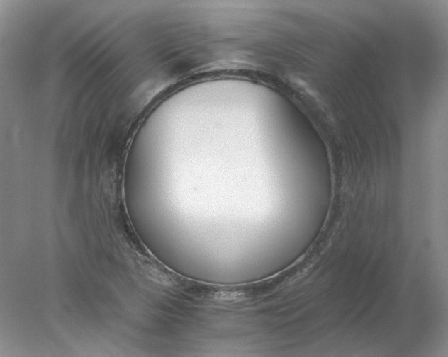 X0000078261313200611171954